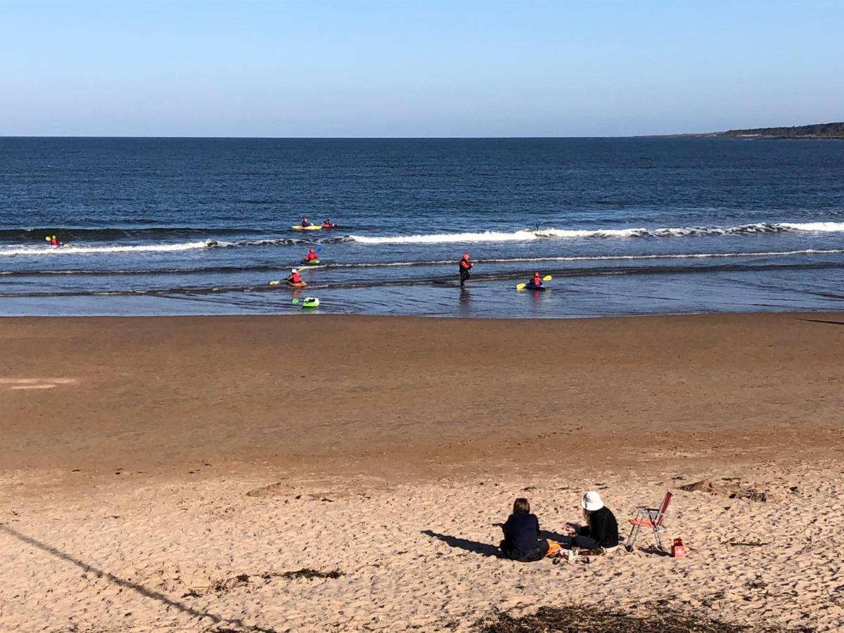 Sunny 2Bed 5Mins To Centre/Beach/Golf St Andrews Eksteriør billede